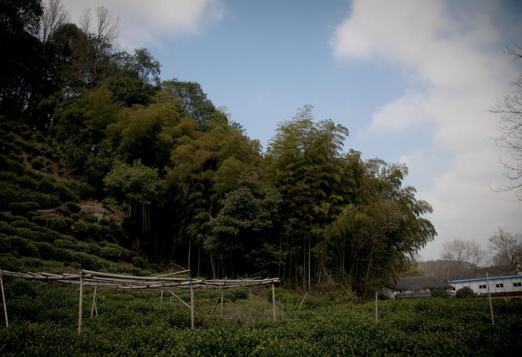 Hangzhou Banyan Art House Dış mekan fotoğraf