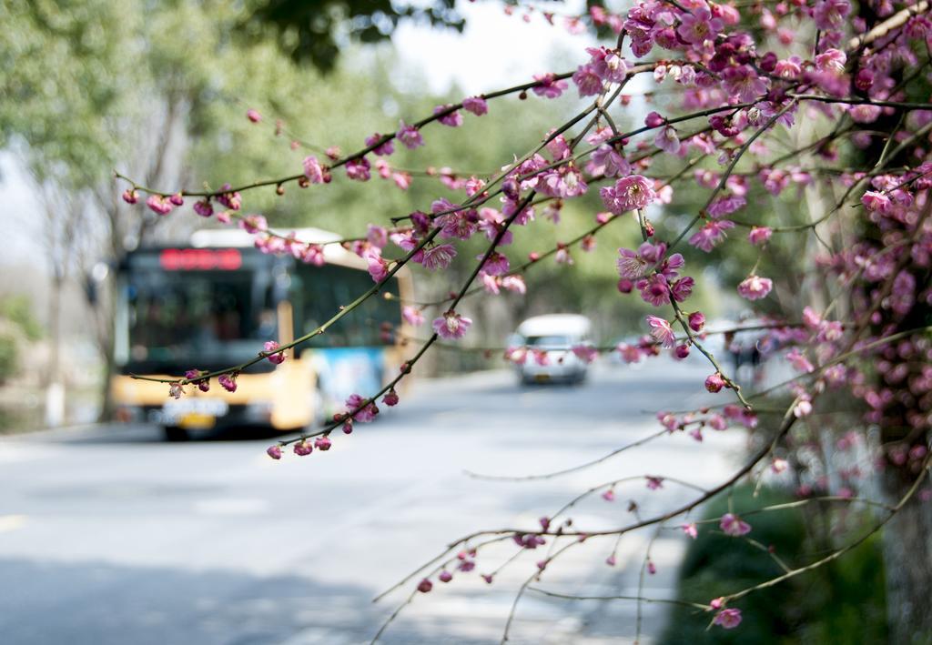 Hangzhou Banyan Art House Dış mekan fotoğraf